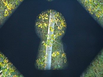 FDES JELD-WEN